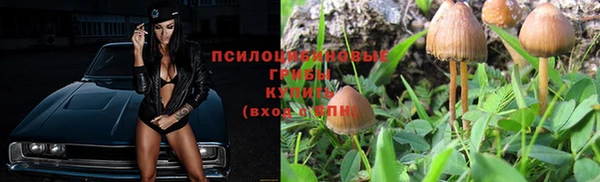Альфа ПВП Красноперекопск