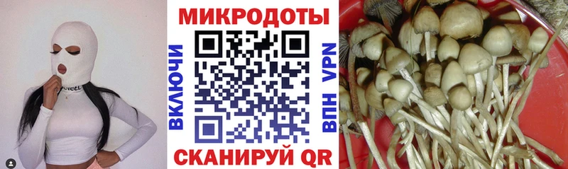 Купить закладки  Суровикино  Псилоцибиновые грибы Cubensis 